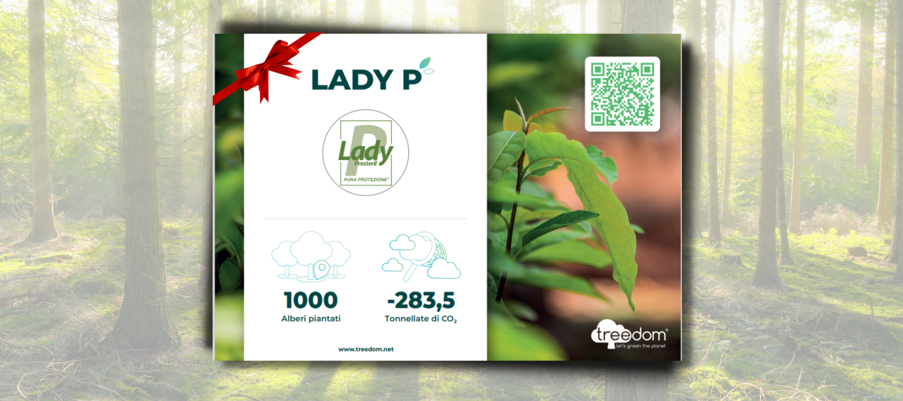 certificato-della-foresta-LadyP